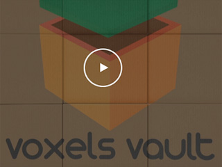 Voxels-Vault by Developers point @nettcode